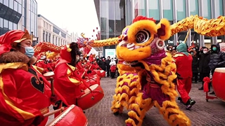 龍騰獅舞迎新春 沈陽(yáng)古城“年味兒”足